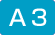 A3